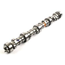 Elgin E-1841-p Sloppy Stage 3 Cam Camshaft Chevy Ls Ls1 .595 Lift 296 Duration