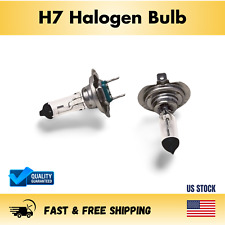 H7 Halogen Headlight Bulb Pair 2 Bulbs