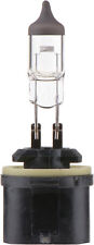 Fog Light Bulb-standard - Single Blister Pack Philips 899b1