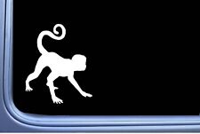 Spider Monkey Os 442 Vinyl 6 Decal Sticker Capuchin