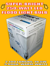 Floodlight Bulb Super-bright Outdoor Cree - 2100 Lumen 19.5 Watt Dimmable