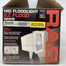 Rab Lighting Lzhh100qtw White Ez Vertical Protective Grill Hid Flood Light 120v