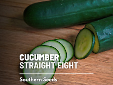Cucumber Straight Eight - 30 Seeds - Heirloom - Gmo Free Cucumis Sativus