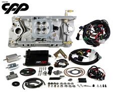 Holley Sniper Hp Efi Multi Port Fuel Injection System Early Late Heads 550-810