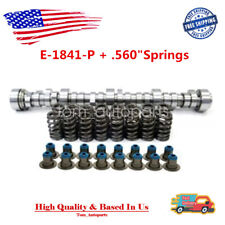 E-1841-p Sloppy Stage 3 Cam Springs Kit For Chevy Ls Ls1 .595 Lift 296duration