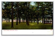 Saginaw Mi Michigan Hoyt Park Gazebo Unposted Divided Back Postcard