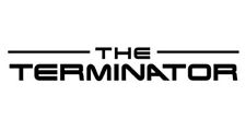 The Terminator 6 X2 Decals Pair Stickers Cobra Mustang Svt Termi 03 04 94 98