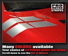 Decals For Dodge Challenger 2008-2023 Fender Hash Side Stripes Choose Color