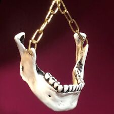 Jaw Mandible Car Mirror Hanger Ornament Charm Street Hot Rat Rod Made In Usa