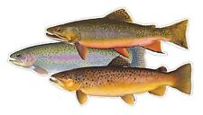 3 Trout Decal Sticker Brook Brown Rainbow Fly Fishing Hook Line Sinker Stream