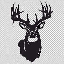Deer Buck Head Hunting Antlers Sportsmen Vinyl Window Decal Sticker Trophy