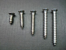 100pc Gm 8 With 6 Phillips Oval Head Stainless Trim Screws Chevy Buick Pontiac